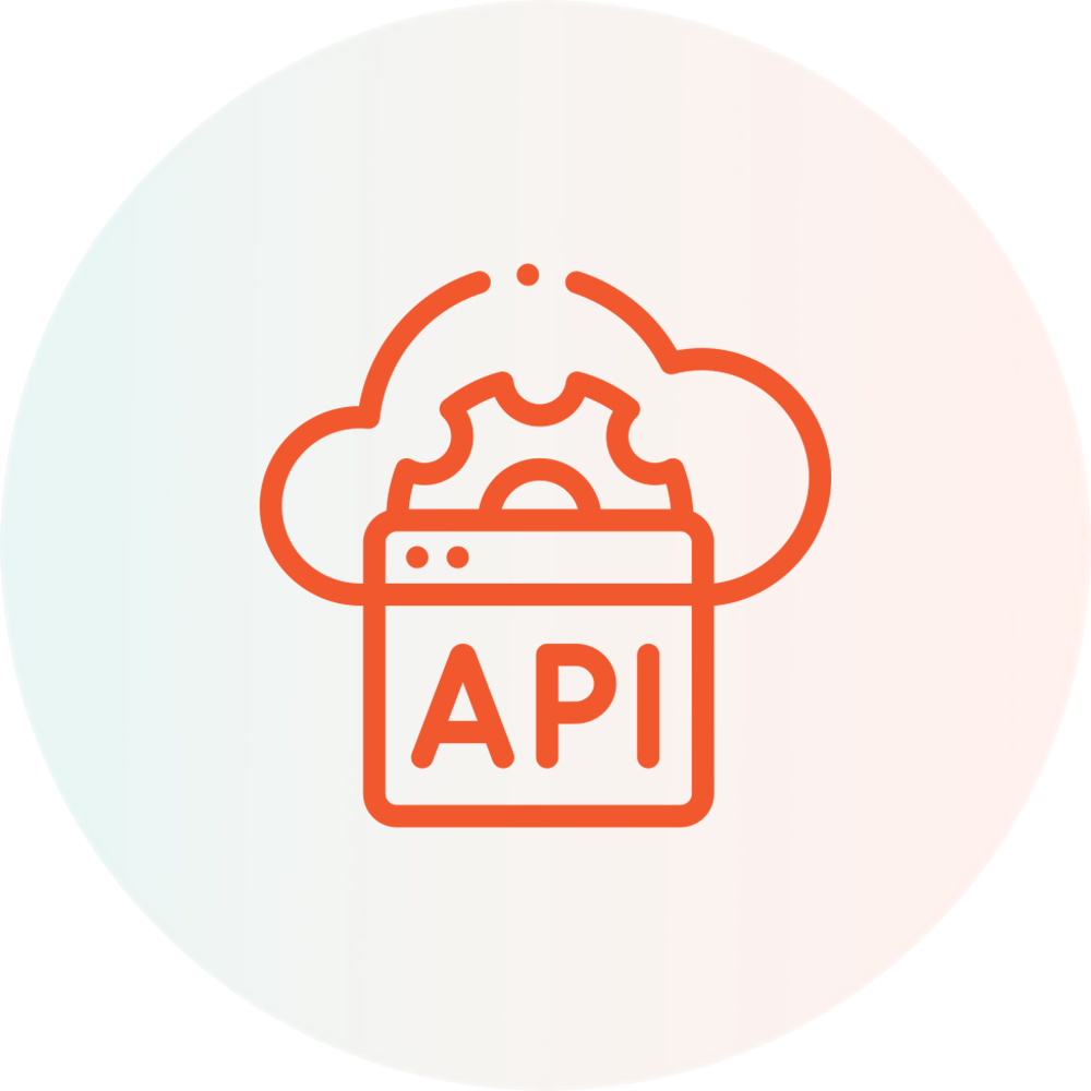 Custom API Integration